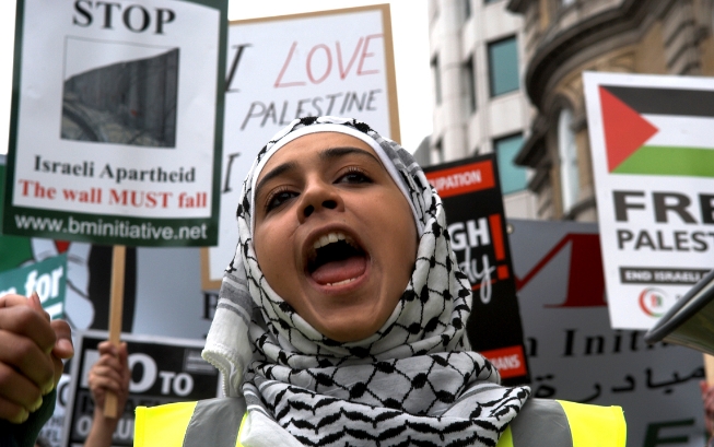 Palestine protester
