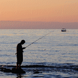 Kyrennia fisherman